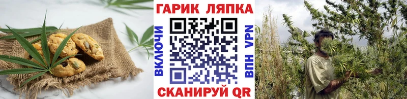 Canna-Cookies конопля Шахты