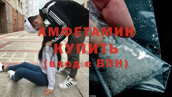 сатива Бородино