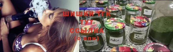 гашик Бронницы