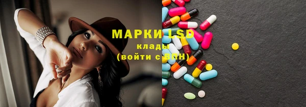 сатива Бородино