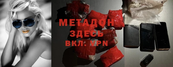сатива Бородино