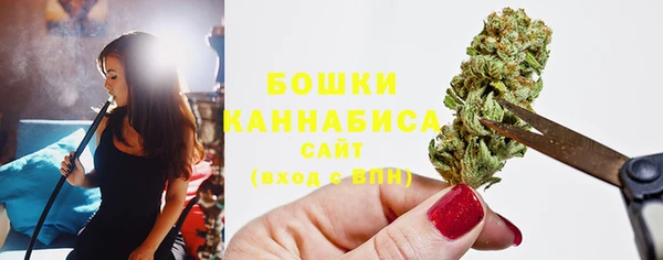 PSILOCYBIN Богородск