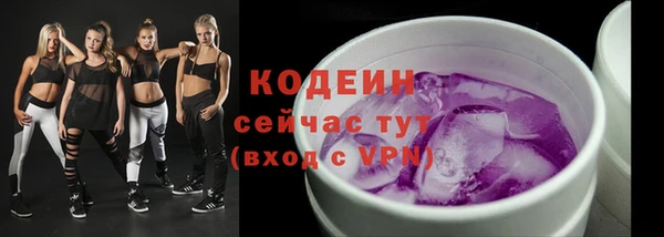 сатива Бородино