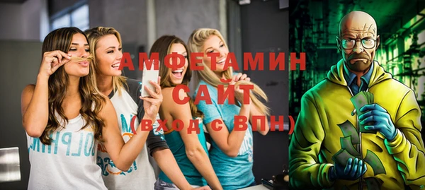 сатива Бородино