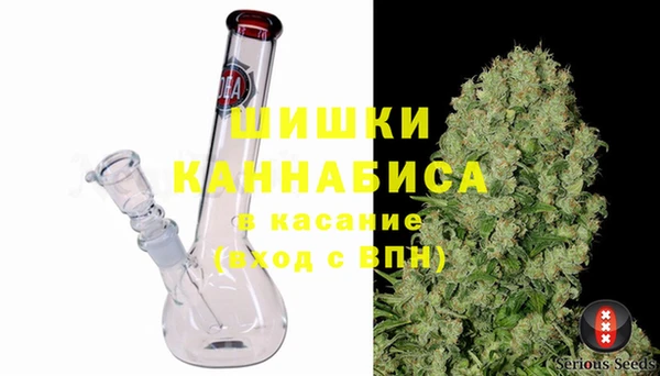 PSILOCYBIN Богородск