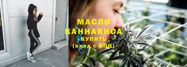 сатива Бородино